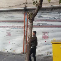 مغازه ۴۷متری دودهنه درخیابان سعیدی(غیاثی)باملکیت