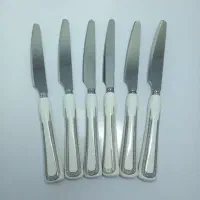 فقط همین وسیله خونه