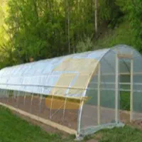 نایلون عریض و حبابدار سبز و شیشه‌ای عمده بازار|عمده‌فروشی|تهران, بازار|دیوار