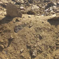 کود گوسفندی درجه یک