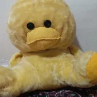 عروسک جوجه