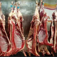 فروش گوشت برع نر تازع کیلوی ۸۰۰هزار
