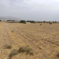زمین-کشاورزی-صالح-آباد
