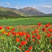 زمین ویلای پیش ساخته نقد و اقساط