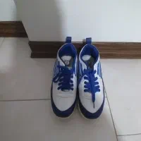 کتونی|کیف، کفش، کمربند|اراک, |دیوار