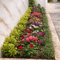 خدمات باغبانی باغچه کاری سمپاشی گل وگیاه|خدمات باغبانی و درختکاری|تهران, تهرانپارس غربی|دیوار