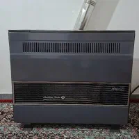 بخاری در حد