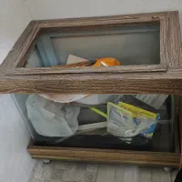 آکواریوم