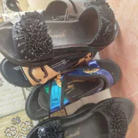 دنپای مردونه زنونه|کیف، کفش، کمربند|قم, شهر قائم|دیوار