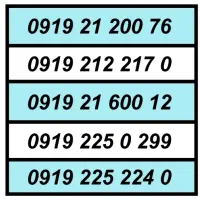 0919.225.224.0|سیمکارت|شهر ری, شهرری|دیوار