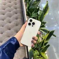 صاحب ۱۵پرو بشو در معاوضه طلایی