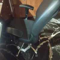 جذب لابی وومن