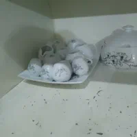 چینی جنس خب