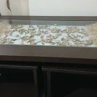 میز عسلی و تلویزیون