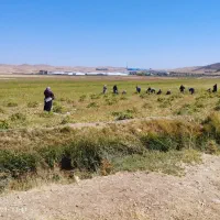 فروش-زمین-کشاورزی