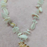 گردنبند صدف