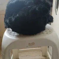 کلاه روسی ترک وکفش نو