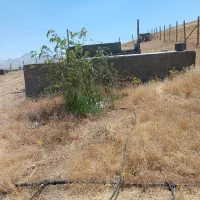 باغ-1200متری-روستای-گاوپناه
