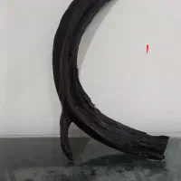 چوب اکواریوم