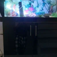 اکواریوم به همراه کمد ام دی اف