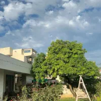 اجاره ۹۵۰متر ویلایی براصلی (مترو)