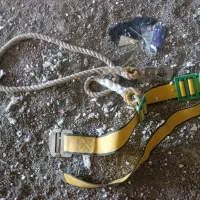کمربند ایمنی