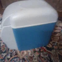 یخچال خودرو