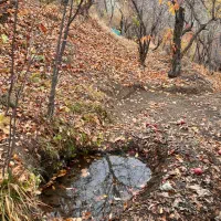 ۱۰۰۰متری روستای کلوان|فروش زمین و ملک کلنگی|آسارا, |دیوار