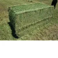 فروش جو و یونجه شلیف کرده