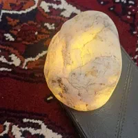 سسننک