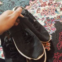 سه جفت کفش|کیف، کفش، کمربند|یاسوج, |دیوار