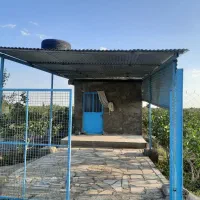 باغ پسته|فروش زمین و ملک کلنگی|نیشابور, مازول|دیوار