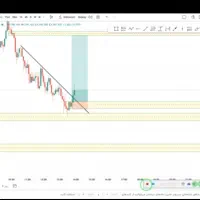 فارکس کار حرفه ای کارازما