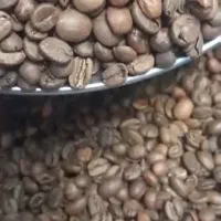 پخش قهوه  ماد