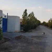 باغ ۲۰۰۰ متری روبروی اسنوا با درختان پسته پیوندی|فروش دفتر صنعتی، کشاورزی، تجاری|شاهین‌شهر, مورچه خورت|دیوار