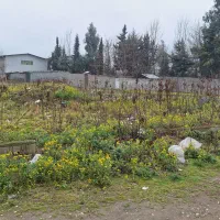 شکار-شکار-زمین-تجاری-بر-جاده-اصلی