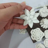 قالب سیلیکونی کاکتوس|ابزارآلات|تهران, تولید دارو|دیوار