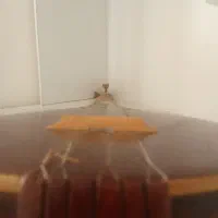 سه تار ویژه سه مهر امید|سازهای سنتی|مشگین شهر, |دیوار