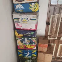 کارتون موزی