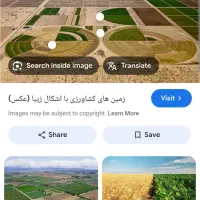 زمین بدون درخت