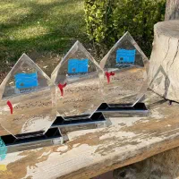 تندیس کریستالی طرح گل|مجسمه، تندیس، ماکت|مشهد, احمدآباد|دیوار