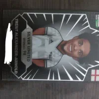 کیمدی سیلور لیمیتن آرنولد