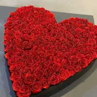 بزرگترین پیج رز ربانی ساحل رز