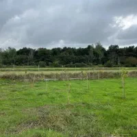 زمین-290-متر-دو-نبش-با-ویو-جنگل-بهترین-منطقه-نور