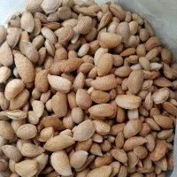 بادام درختی
