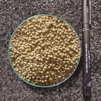 گوگردمعدنی ارگانیک گرانول و پودری مستقیم از معدن|خدمات باغبانی و درختکاری|اندیمشک, |دیوار