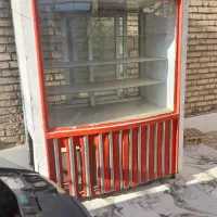 یخچال مرغ گرمی