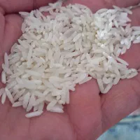 برنج هاشمی|خوردنی و آشامیدنی|رشت, منظریه|دیوار