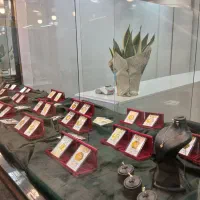 بورس سکه پارسیان از سی سوت تا یک گرم