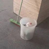 نظافت ساختمان و آپارتمان مسکونی